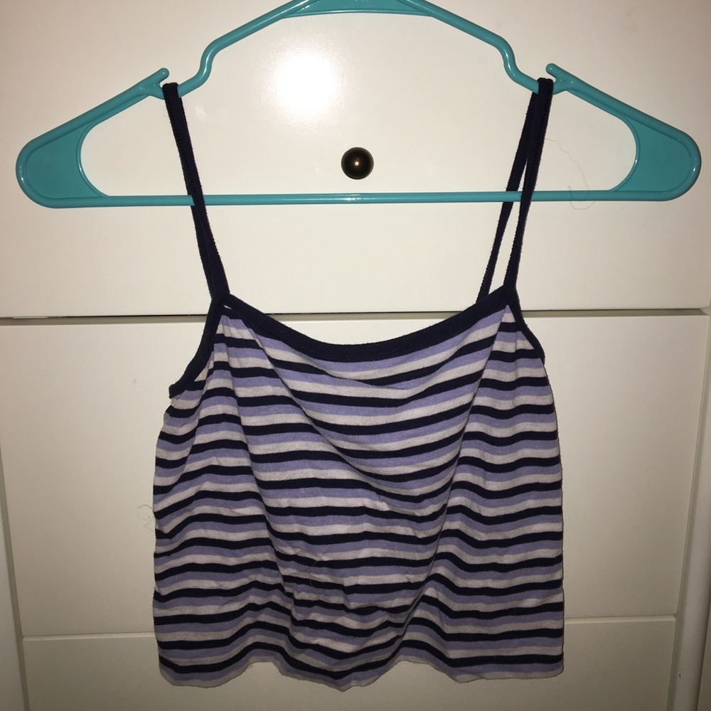 Striped Blue and White Brandy Melville Crop Top